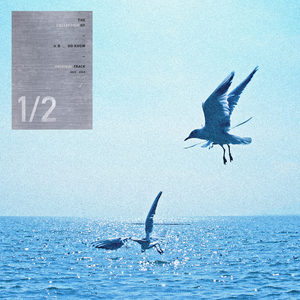 免费一级录像在线观看
