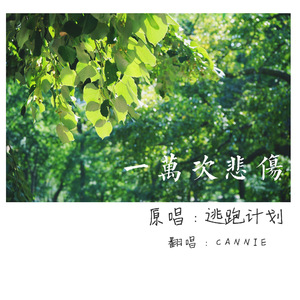 免费一级录像在线观看
